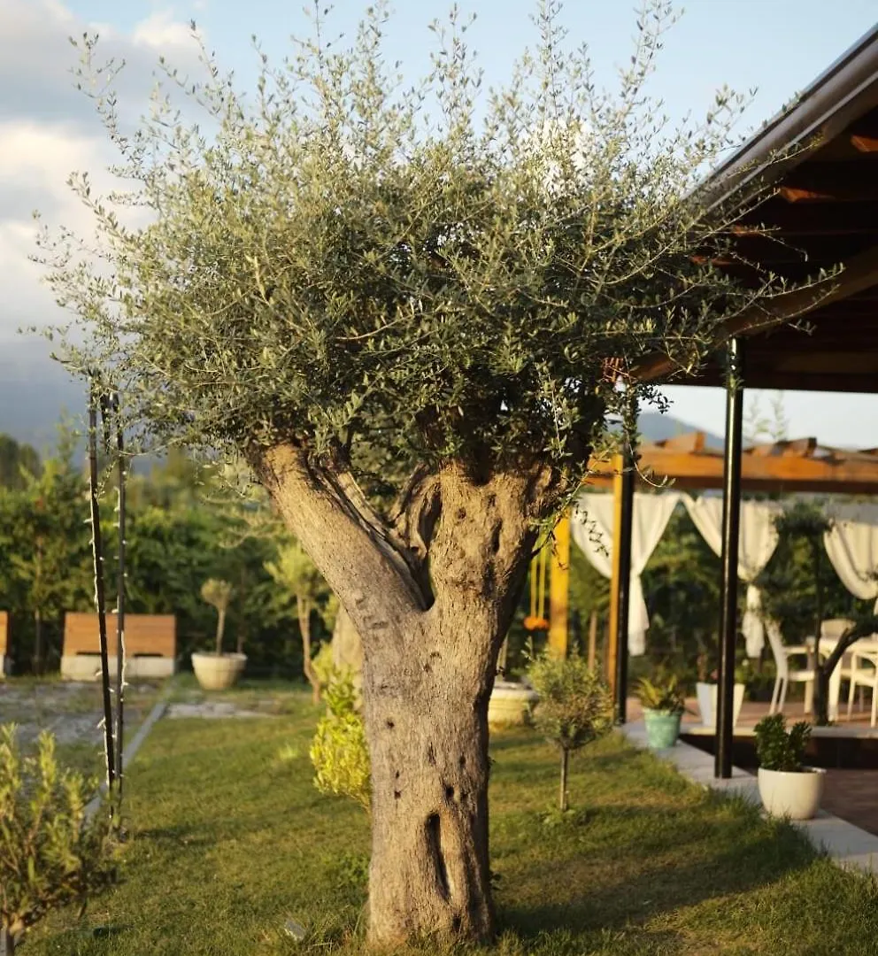 Natyra E Ishullit - Hotel, Ristorant, Camping - Lezhe, Shengjin, Ishull Shengjin Lezhe, Shengjin, Lezhe Albania